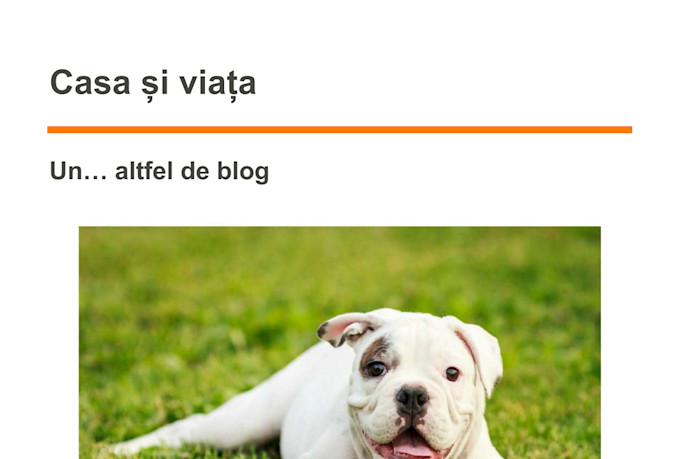 write captivating blogs and articles tailored to your brand